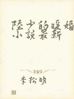陆少的暖婚新妻小说最新