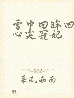 雪中回眸四爷的心尖宠妃