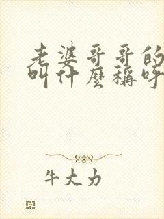 老婆哥哥的老婆叫什么称呼,关系是