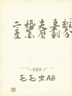 二婚夫妻离婚财产怎么划分