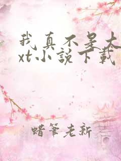 我真不是大佬txt小说下载