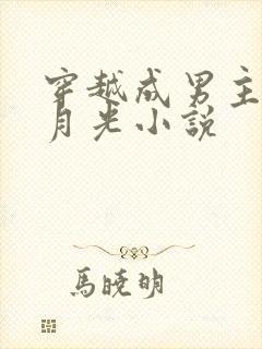 穿越成男主的白月光小说