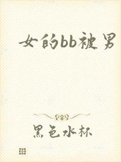 女的bb被男操