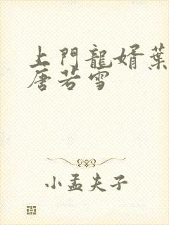 上门龙婿叶凡与唐若雪