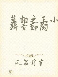 万相之王小说最新章节阅