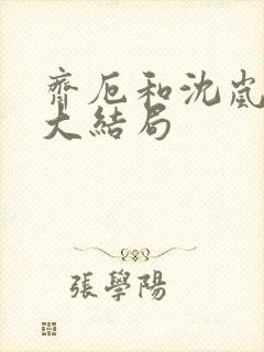 齐厄和沈岚小说大结局