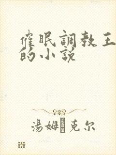 催眠调教王心凌的小说