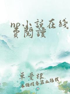 np小说在线免费阅读