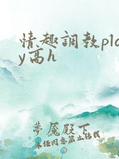 情趣调教play高h
