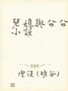 儿媳与公公公的小说