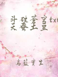 斗破苍穹txt天蚕土豆