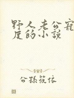 野人老公宠妻无度的小说