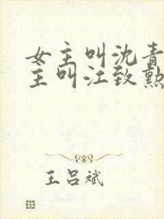 女主叫沈青青男主叫江致勋的小说