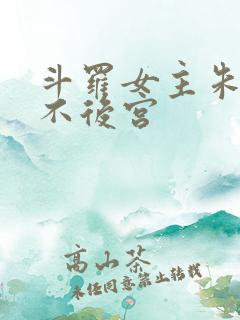 斗罗女主朱竹清不后宫