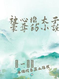 被心机太子强取豪夺的小说