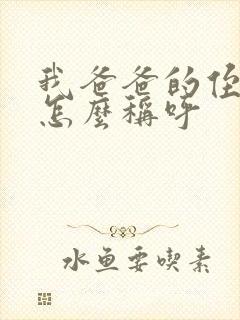 我爸爸的侄子我怎么称呼