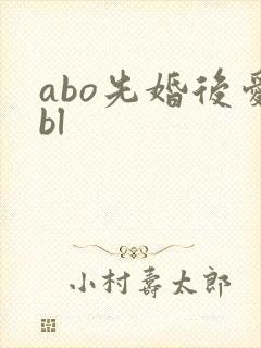 abo先婚后爱bl