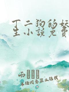 丁二狗的妖孽人生小说免费阅读