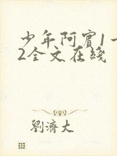 少年阿宾1一72全文在线