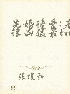 先婚后爱:老公很凶猛最txt下载