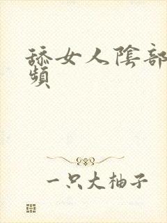 舔女人阴部的视频