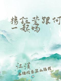 杨钰莹跟何炅在一起吗