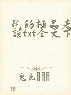 我的极品老婆小说txt全文下载