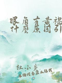 眼角有黄褐斑是什么原因引起的