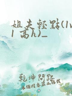 姐夫轻点(1v1 高h)_
