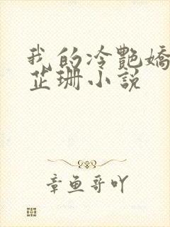 我的冷艳娇妻秦芷珊小说