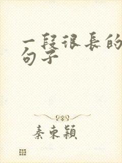 一段很长的感情句子