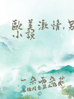 欧美激情,另类小说