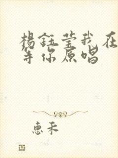 杨钰莹我在春天等你原唱