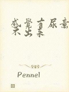 感觉有尿意却尿不出来