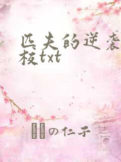 匹夫的逆袭骁骑校txt