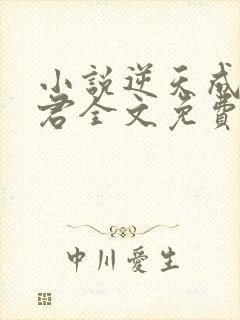 小说逆天成神贤君全文免费看