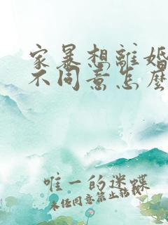 家暴想离婚男方不同意怎么办