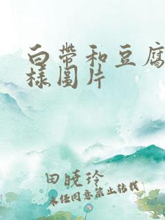 白带和豆腐渣一样图片