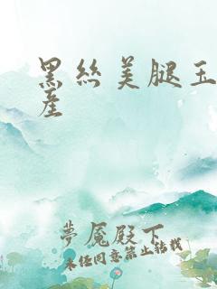 黑丝美腿玉足国产