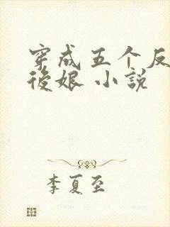 穿成五个反派的后娘 小说