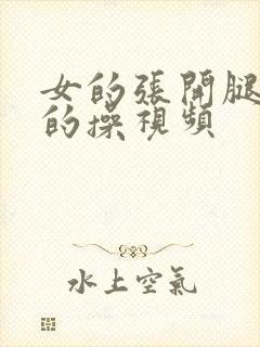 女的张开腿让男的操视频