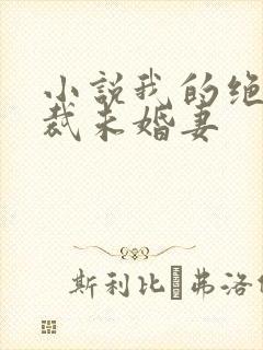 小说我的绝色总裁未婚妻