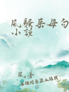 风骚岳母勾引我小说