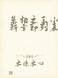 万相之王小说最新章节列表列表