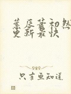 叶辰萧初然免费更新最快