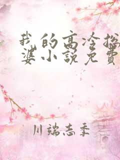 我的高冷总裁老婆小说免费