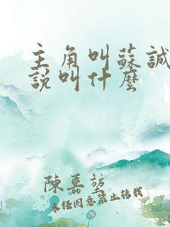 主角叫苏诚的小说叫什么