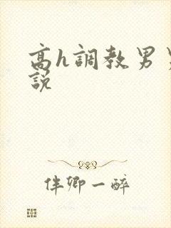 高h调教男男小说