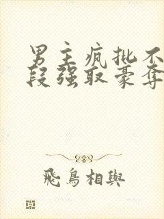 男主疯批不择手段强取豪夺现言