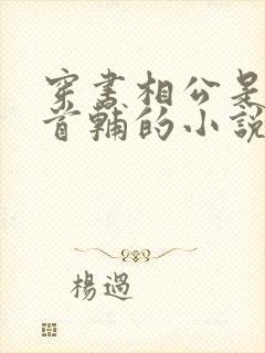 穿书相公是未来首辅的小说